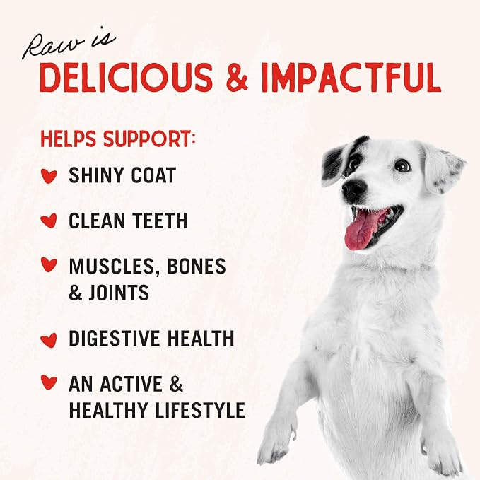 Stella & Chewy's Freeze-Dried Raw Beef Heart Dog Treats - Single Ingredient, No Additives - Premium Training Treats - Perfect For Picky Eaters - 3oz Bag