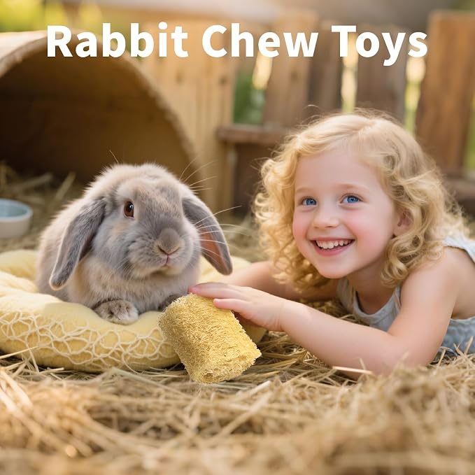 BESNEW 3 PCS Rabbit Chew Toys,100% Natural Loofah Without Additives,Bunny Chew Toys for Teeth,Fiber-Rich Rabbit Treats for Bunny Chinchilla Dogs