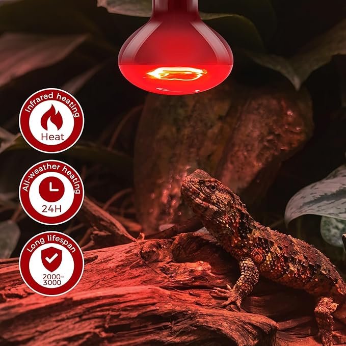 Reptile Heat Lamp 75W, Heat Lamp Bulbs for Reptiles and Amphibians, UVA Daylight Basking Light Suitable for Bearded Dragons, Lizards, Turtles, and Chickens (2 Pack)