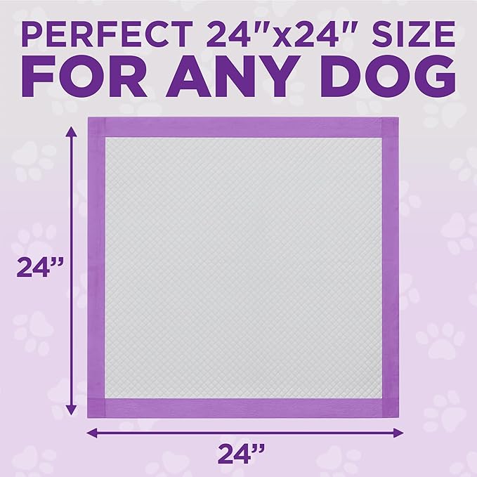 POOPH Puppy Pads 50 Count, 24x24 Inch Extra Large Dog Pee Pads, Disposable Training Pads with Odor Control & Leak-Proof Quick-Dry Backing for Puppies, Adult Dogs, Seniors & Housebound Pets