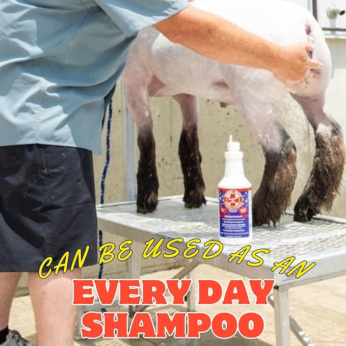 Ring Out Shampoo and Soap 32 oz - Low SUDSING Pet, Dog, Show Livestock Shampoo w/Tea Tree Essential Oil Strengthens & Promotes Health of Hair While Reducing Hair Loss & Scarring Caused by Ringworm