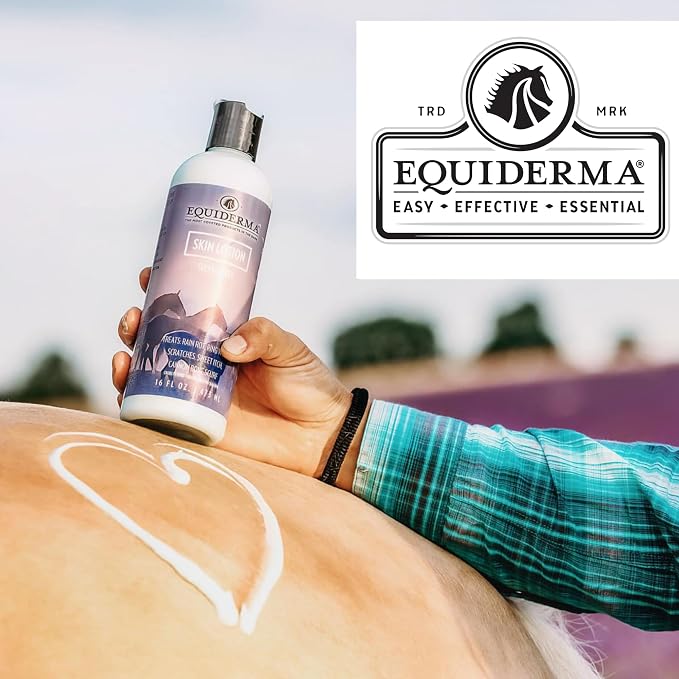 EQUIDERMA (2 Pack) Horse Skin Lotion with 10‑Count Pet Faves Pet Wipes – Gentle Soothing Relief for Cannon Bone, Mane & Tail Irritation, Dry Skin & Scabs