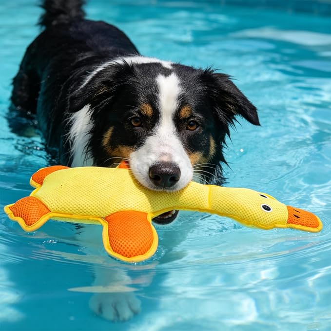 EXPAWLORER Squeaky Floating Dog Toys for Water Fetch, Stuffed Duck Dog Pool Toys with Squeakers, Soft Mesh Interactive Outdoor Summer Essentials for Small Medium Large Dogs, 2 Pack