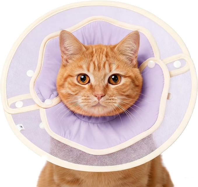 Cute Flower - Shaped Cat Cone for Kittens & Cats (Purple, L)