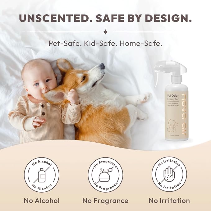 Unscented Pet Odor Eliminator Spray for Home - Dog & Cat Odor Remover - Urine, Litter Box & Carpet Deodorizer | Non-Toxic, Fragrance-Free, Pet-Safe Air Freshener | No Enzymes, No Masking (10.1 Fl Oz)