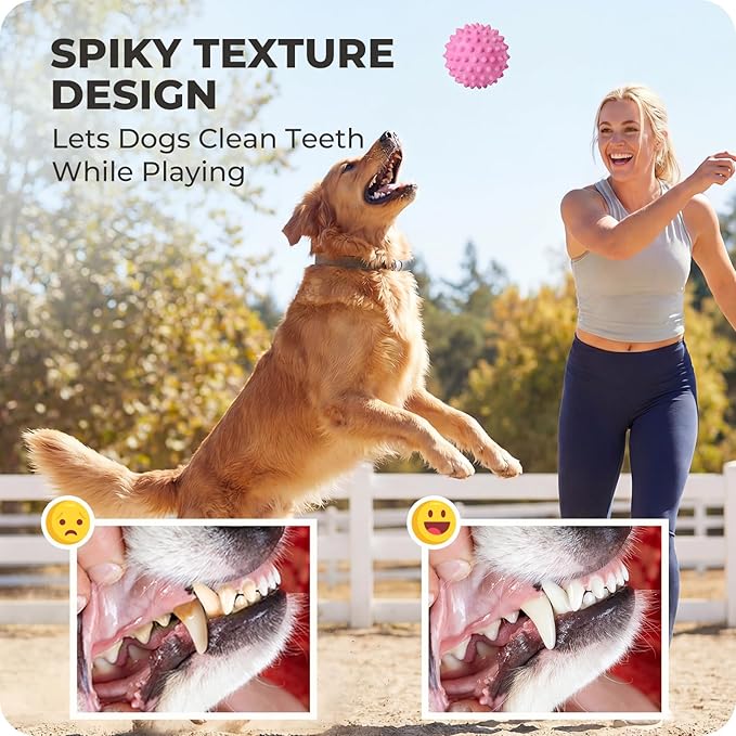 Apasiri 3.5" Durable Squeaky Dog Ball Toy for Puppy Medium Large Dogs(25-80 lbs): Bacon Flavored Pink Spiky Rubber Bouncing Floating Balls for Dogs, Tough Large Outdoor Dog Water Fetch Toys, Dog Gifts