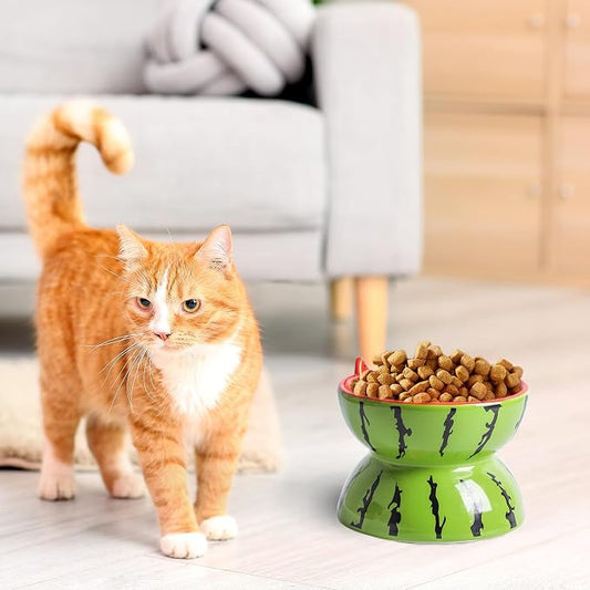 Hamiledyi Ceramic Raised Cat Bowl 5In Elevated Wide Cat Bowl for Food and Water Anti Vomiting Tilted Pet Feeder Dish for Indoor Cats and Small Dogs(Watermelon)