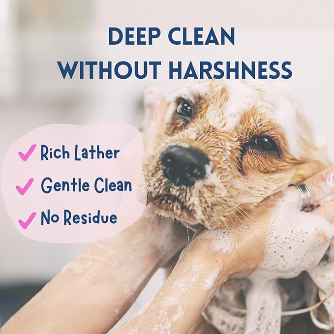 Dog Shampoo & Conditioner with Oatmeal, Aloe & Coconut 16 oz, All-in-One for Long, Curly, Short & Wavy Coats, Sensitive Skin, Sulfate & Paraben Free, Made in USA