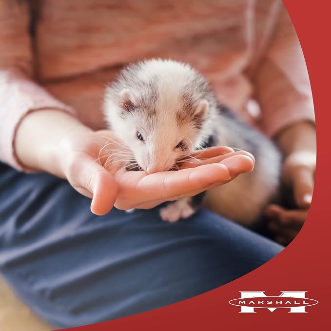 Marshall Pet Products Furo-Vite Highly Nutritious Vitamin Supplement Paste, for Ferrets of All Ages, for Training and Support, 3.5 oz