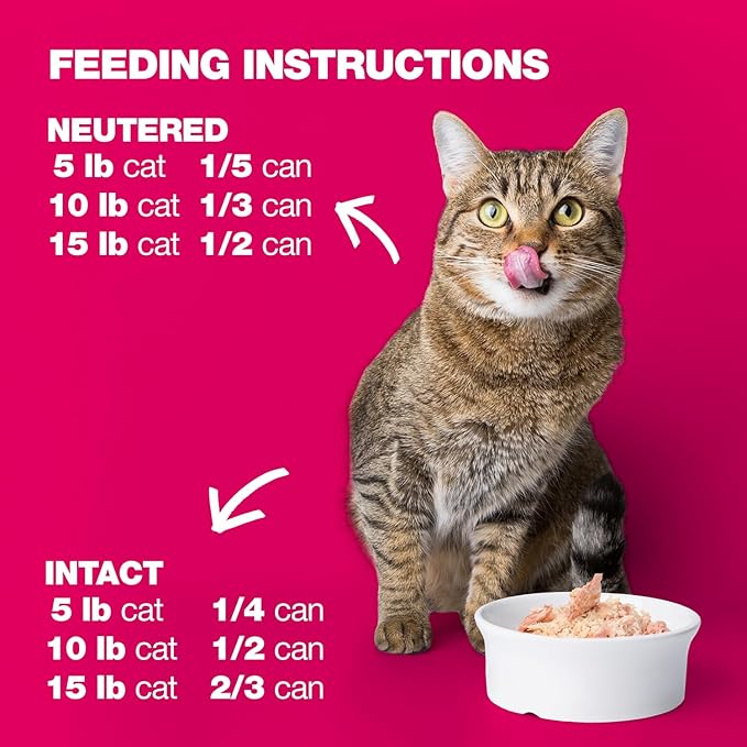 Natural Code - 24 Pack Wet Cat Food, Limited Ingredient Cat Food, High-Protein, Non-GMO, No Artificial Additives, Made in Italy, Tuna and Shrimps in Broth for Adult Cats, 3 oz