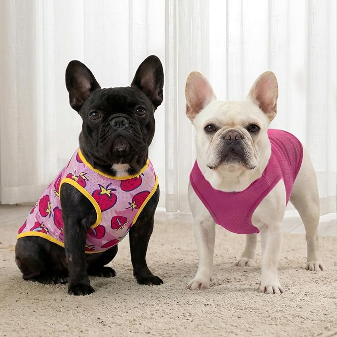 KYEESE 2Pack Dog Shirt, Lightweight Sun Protection Dog T Shirts for Small Dogs Girl, Breathable Mesh Tank Top Sleeveless Puppy Reflective Vest, Soft Summer Dogs Clothes, Strawberry+Rose Red, S