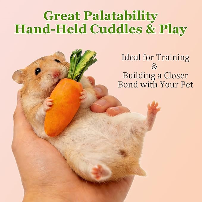 Hamiledyi Hamster Chew Toys Rabbit Chew Toys for Teeth Guinea Pig Treats Enrichment Habitat Decor for Bunny Chinchilla Gerbil Rat (13 Pcs)