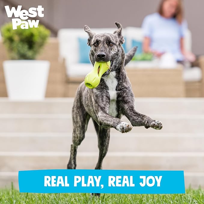 WEST PAW Qwizl Durable Zogoflex Dog Puzzle Toy for Mental Stimulation, and Enrichment - Treat Dispensing for Bully Sticks and Dental Sticks - Dishwasher Safe - Made in USA - Small - Sunflower