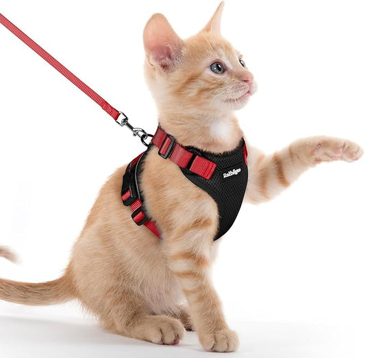 rabbitgoo Cat Harness and Leash for Walking, Escape Proof Soft Adjustable Vest Harnesses for Cats, Easy Control Breathable Reflective Strips Jacket, Black & Red, XXS