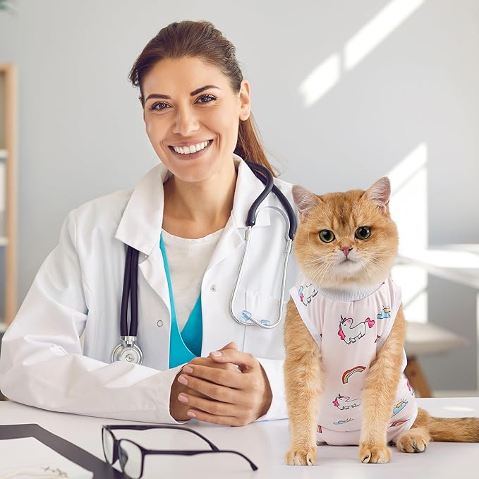 Avont Cat Recovery Suit - Kitten Onesie for Cats After Surgery, Cone of Shame Alternative Surgical Spay Suit for Female Cat, Post-Surgery or Skin Diseases Protection -Rainbow(M+)
