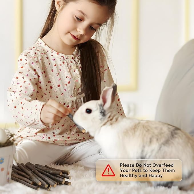 2000g Organic Apple Sticks Small Animals Molar Wood Treats Toys for Chinchillas Guinea Pig Rabbits Hamster Gerbil Parrot Bunny Chew Stick Toys, 70.6 OZ
