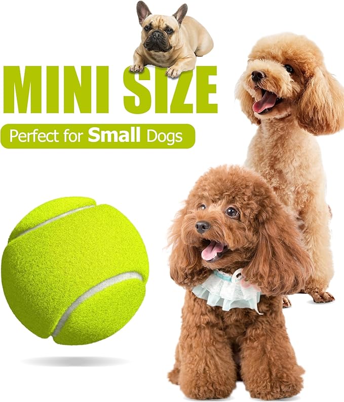 20 Pack Small Tennis Balls for Dogs, Easy Catching Pet Balls for Exercise and Fetch, 2-inch Dog Tennis Ball, Interactive Toys