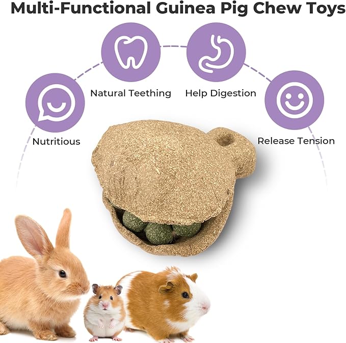mini&moe Hamster Chew Toys for Teeth – Guinea Pig Chews Natural Edible Hamster Enrichment Toys Improve Dental Health Chinchilla Treats for Gerbils, Rat, Rabbit, Bunny