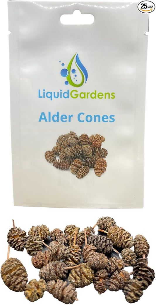 Liquid Gardens Alder Cones, 25 Pieces - Aquarium Botanicals, Tannins for Betta Fish, Alder Cones Aquarium, Fresh Water Shrimp Accessories
