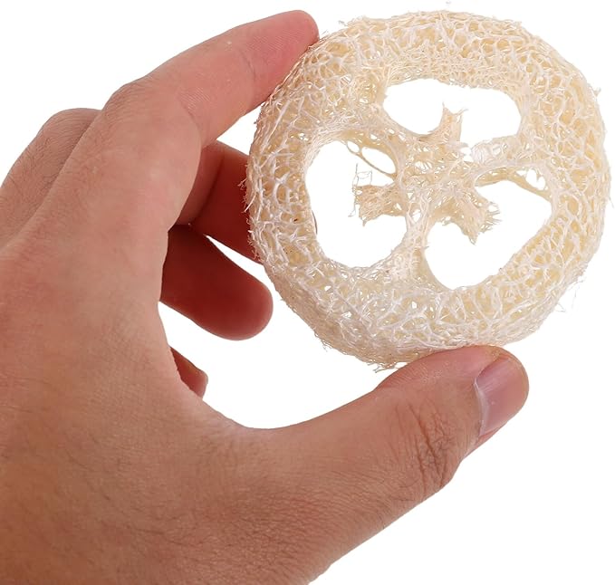 BESPORTBLE 40pcs Natural Loofah Slices Chew for Small Pets Hamsters Rabbits Guinea Pigs Rats Teeth Cleaning Treats Molar for Mouth Health and Furniture Protection