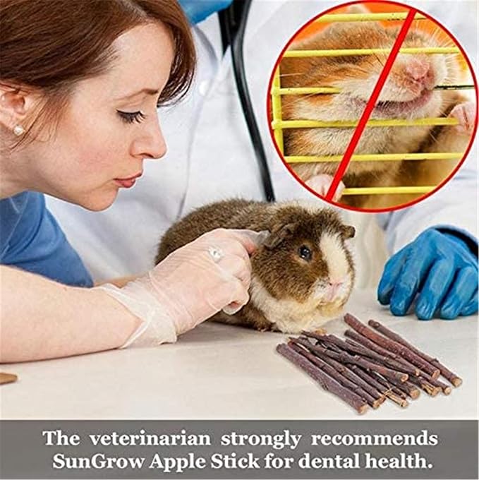 Bunny & Guinea Pig Toys - Rabbit & Hamster Accessories - Natural Timothy Biscuit Hay Sticks & Apple Wood Sticks for Teeth - Chinchilla & Rat Molar Chews