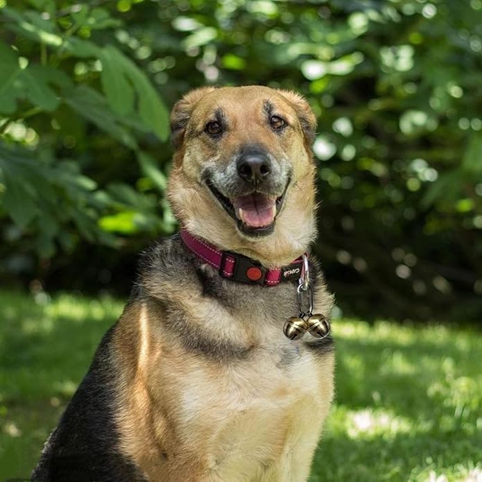 2 Extra Loud Dog and Cat Bells, Heavy Duty Copper Collar Bell with Quick Link for Pet Tracking