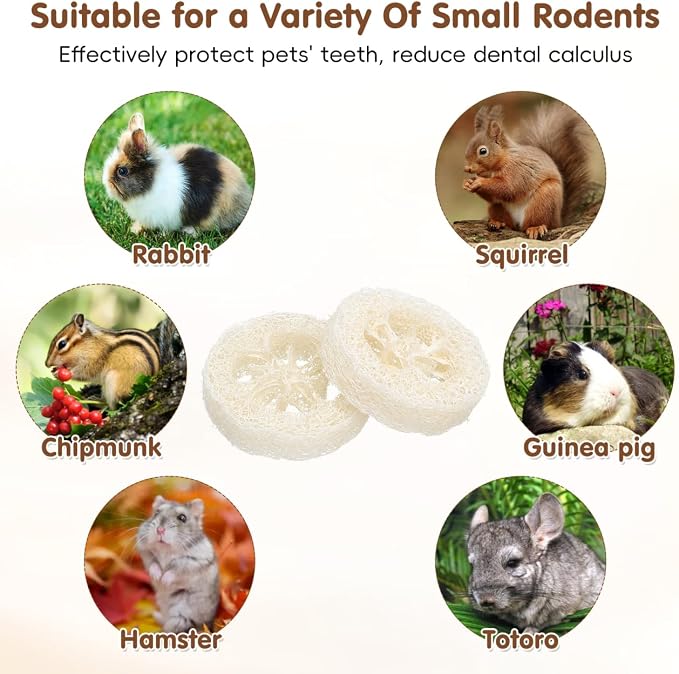 Veemoon 20pcs Hamster Bunny Pet Chewing Toy, Natural Loofah Small Animal Chew Tool Pet Molar Toy for Guinea Pig Chinchilla Hamster Rat Tooth Cleaning and Oral Care Stress Relief Entertainment