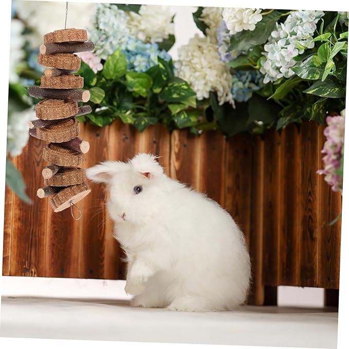 Totority Natural Carrot Branch Molar Chewing for Rabbits and Small Pets Healthy Teeth Cleaning Bunny and Guinea Pig Dental Care Treat Safe Non-Toxic Small Animal