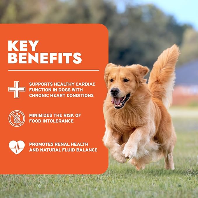 Forza10 - Dog Food, Vet-Approved Renal Pet Food with Omega‑3, Non-GMO, Dry Dog Food for Kidney Support, Made in Italy (8.8 lb)