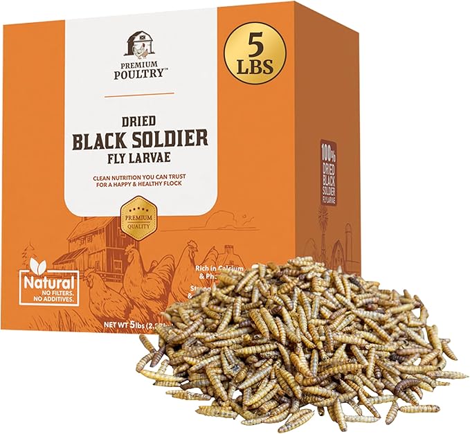 5 lb Mealworms Bundled with 5 lb Black Soldier Fly Dried Chicken Feed - Natural High Protein Treats for Backyard Poultry, 2 Bags
