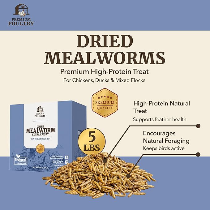 Dried Mealworms for Chickens – High Protein Chicken Treats for Egg Production & Flock Health – Bulk Mealworms for Ducks, Wild Birds, Reptiles & Backyard Poultry Feed, 10 lb