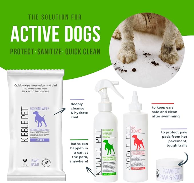 Kibble Pet Dog Leave in Conditioner Spray, Professional Grooming, Dry Itchy Skin Moisturizer, Coat Deodorizer, Long Lasting Aloe Vera Honey Scent, Made in The USA (Aloe Vera & Honey, 7.1 oz)