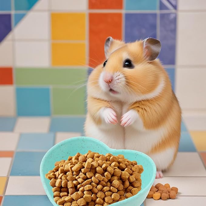 3 Pack Hamster Food Bowl Rabbit Guinea Pig Food Dish Cute Heart Shape Water Dish for Hamster Hedgehog Gerbil Small Animals Rat Rodent (Green, Blue and Pink)