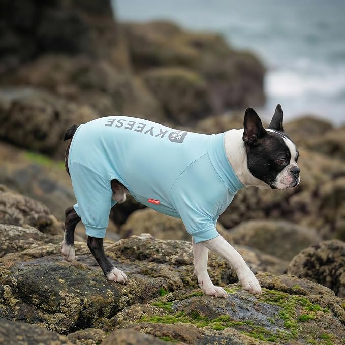 KYEESE UV Protection Dog Shirt, UPF 50+ Cooling Summer Jumpsuit for Small Dogs, Breathable Reflective Shedding Control Dog Sun Shirts, Quick-Dry Dogs Onesie Puppy Clothes, Blue, S