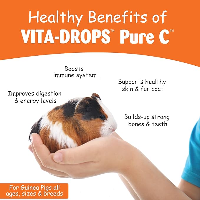 OASIS #80254 Vita Drops-Pure C for Guinea Pig, 2-Ounce, Packaging may vary
