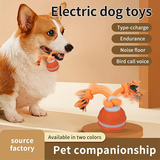 Interactive Dog Cat Toys Dog Ball,Automatic Rolling and Bouncing Moving Dog Toy,Squeaky Rolling Balls with Flashing Light,USB Rechargeable Chew Toys for Puppy Small Dogs, Pet Ball to Keep Them Busy