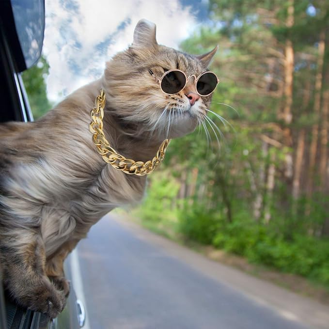 Weewooday 7 Pcs Dog Sunglasses Cats Sunglasses with 2 Gold Chain Retro Round Metal Glasses Funny Cute Cosplay Costume for Small Pet(Vivid Colors,Lovely Style)