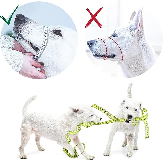 Gentle Muzzle Guard for Dogs - Prevents Biting and Unwanted Chewing Safely Secure Comfort Fit - Soft Neoprene Padding – No More Chafing – Training Guide Helps Build Bonds with Pet (S+, Grey)