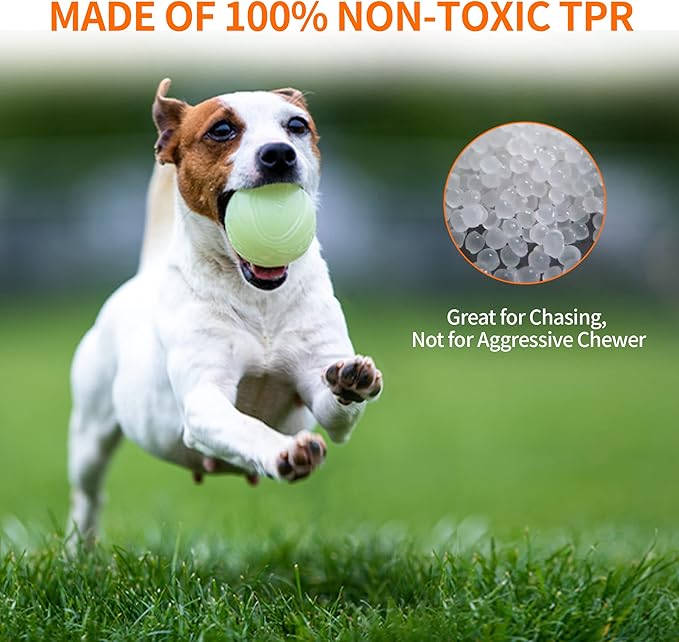 SKIPDAWG Interactive Dog Glow Balls, Rubber Balls Light Up in the Dark, Dog Toys Squeaky Ball Durable TPR Light Weight, Bouncy Glowing Ball Size 2.5 Inches, 2 Pack