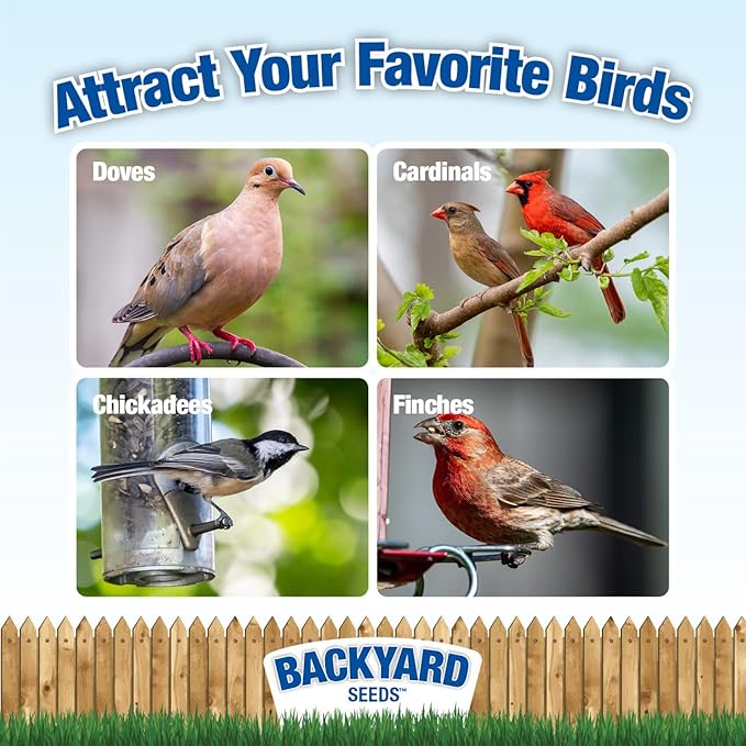 Backyard Seeds Fruit Frenzy No-Waste Bird Seed Mix 20lbs - Premium Blend with Pumpkin Seeds, Cranberries & Pistachios, Small Bag of Wild Bird Food