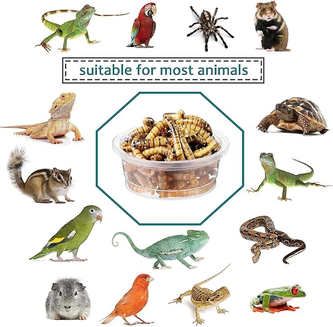 ANCKNE 200 pcs 0.5oz Crested Gecko Food and Water Feeding Cups | Reptile Feeder Bowls | for Lizard and Other Small Pet Ledge Accessories Supplies