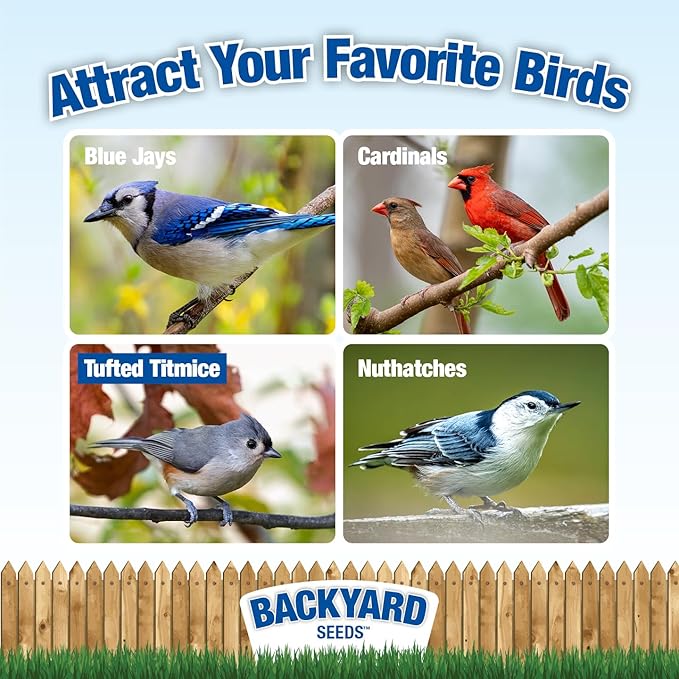 Backyard Seeds Wild Bird Seed Blend 20lbs - Premium No-Waste Mix with Sunflower Chips, Shelled Peanuts & Hulled Millet, Medium Bag of Wild Bird Food