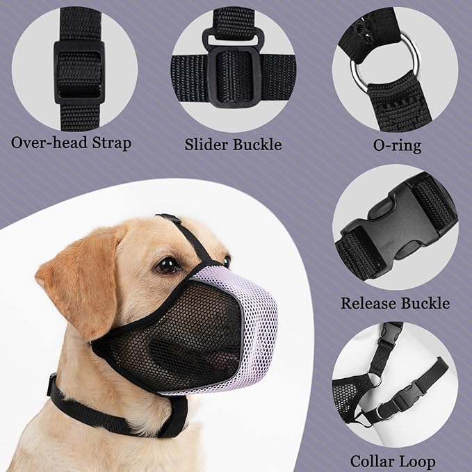 Mayerzon Dog Muzzle, Patented Mesh Soft Muzzles for Large Medium Small Dogs Poodle Husky Doberman Labrador Retriever for Scavenging Grooming Biting Chewing, Breathable Reflective Mussel with Collar