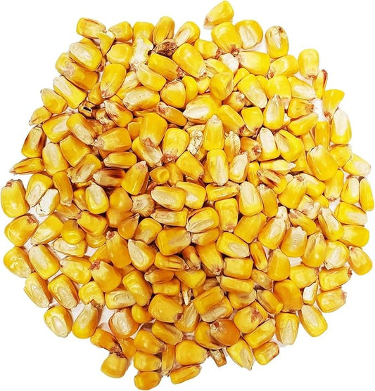 CountryMax Backyard Seeds Whole Corn 20 lbs - High-Energy Animal Feed for Chickens, Squirrels, Deer & Wild Birds, Ground Feeding, High Protein