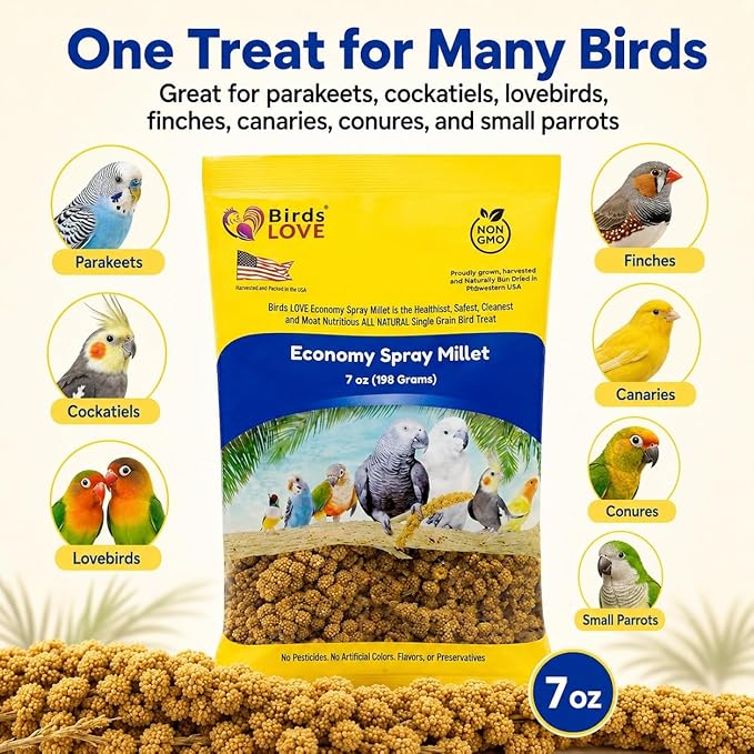 Birds LOVE Economy Special Spray Millet | GMO-Free (No Stems Only Edible Tops) for Birds Cockatiel, Lovebird, Parakeet, Finch, Canary All Parrots Healthy Treat 7 oz -Pack of 2