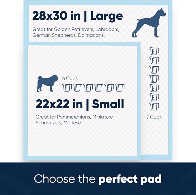American Kennel Club Scented Puppy Training Pads with Ultra Absorbent Quick Dry Gel – 28 x 30 Pee Pads for Dogs - Fresh Scented - 50 Count, XL (Pack of 6)