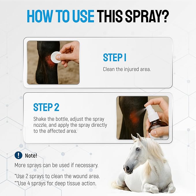 Horse Wound Care Spray with Silver – for Insect & Fly Bites, Hot Spots, Scratches & Itchy Skin – Supports Quick Healing of Cuts, Abrasions & Rain Rot Treatment for Horses – Equine Healing Aid – 4 Oz