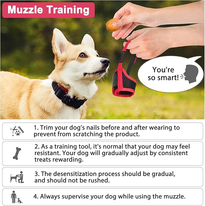 LUCKYPAW Dog Muzzle Anti Biting Barking and Chewing with Comfortable Mesh Soft Fabric and Adjustable Strap, Suitable for Small, Medium and Large Dogs(Red Trim,S)