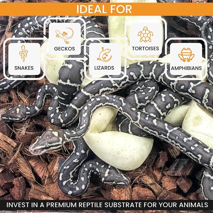 ReptiChip Reptile Bedding Loose Coconut Chip 12 Quart Coco Husk Substrate Mulch for Snake Habitat, Ball Python Terrarium, Turtle Tanks, Tortoise Enclosure