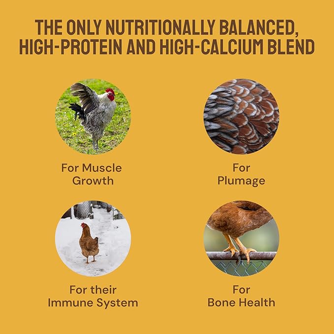 Hatortempt Grubs & Grits Chicken Feed Supplement - 10lb - with Chicken Grit, Mealworms, Black Fly Larvae and Oyster Shells - 21% Protein and 15% Calcium